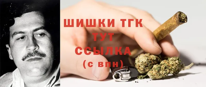 купить закладку  Далматово  Бошки Шишки THC 21% 